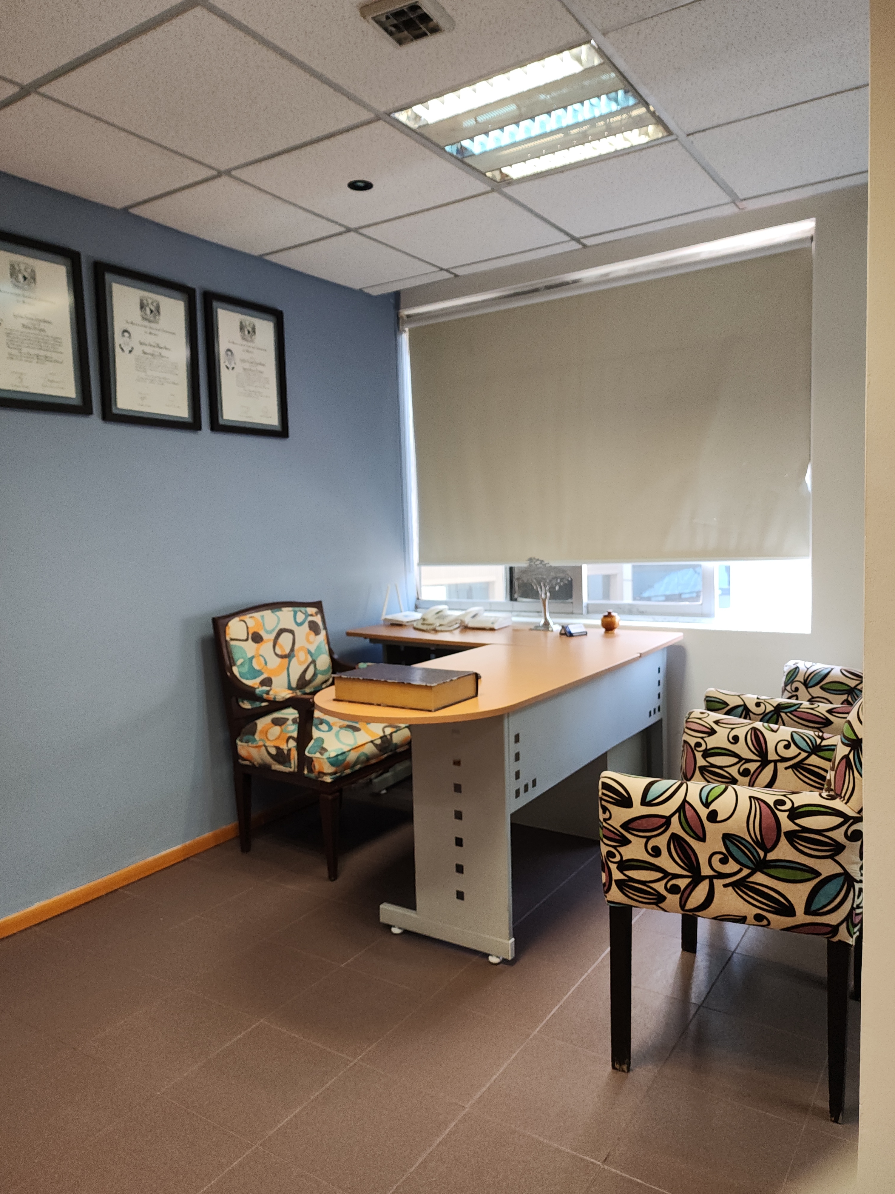 privado clinica vascular del sur